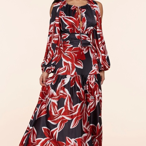 Maxi Dress by L’atiste Midnight Floral Holiday Dress - Picture 8 of 12